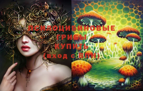 синтетический гашиш Алексин