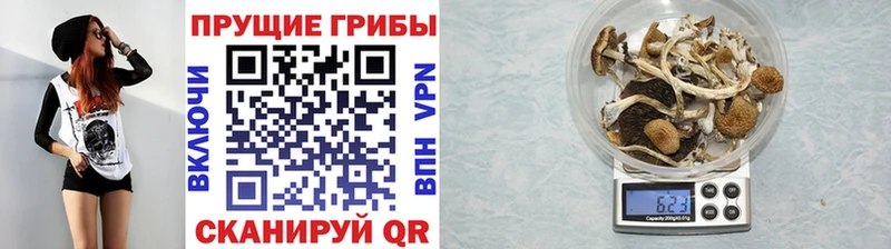 Псилоцибиновые грибы Magic Shrooms  Тара 